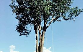 มาริปาย รีสอร์ท